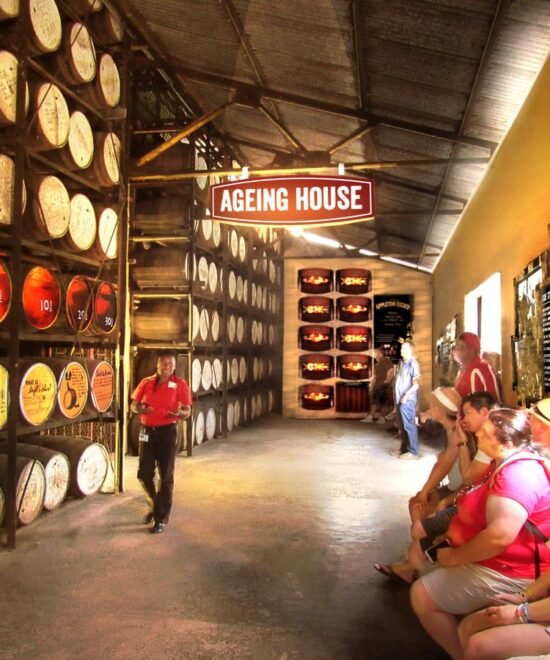 Appleton Estate Tour (1)