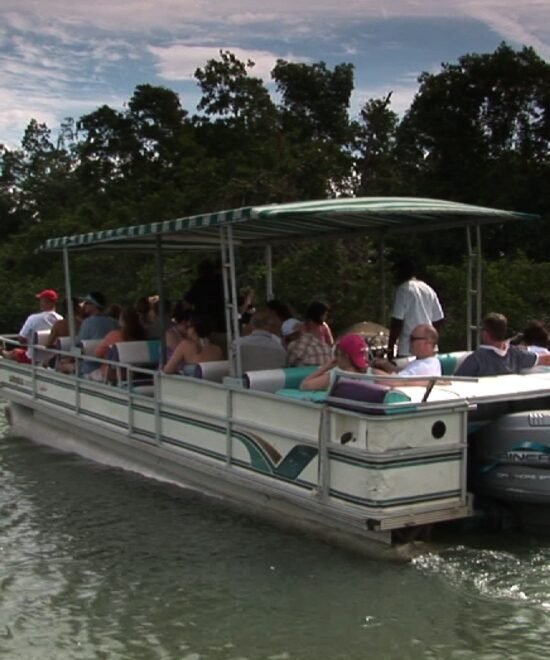 Black River Safari (1)