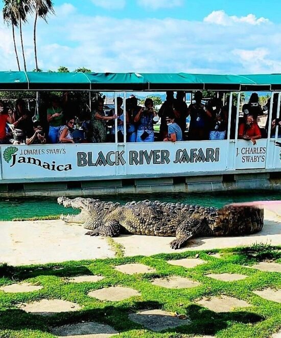 Black River Safari (3)