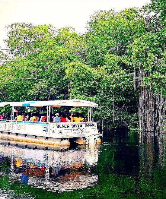 Black River Safari (5)