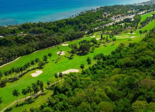 Visit Nine Mile Jamaica