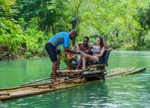 Coleman K Jammin Jamaica Tours